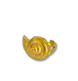 Bague coquillage